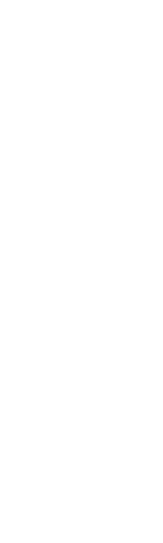 2024